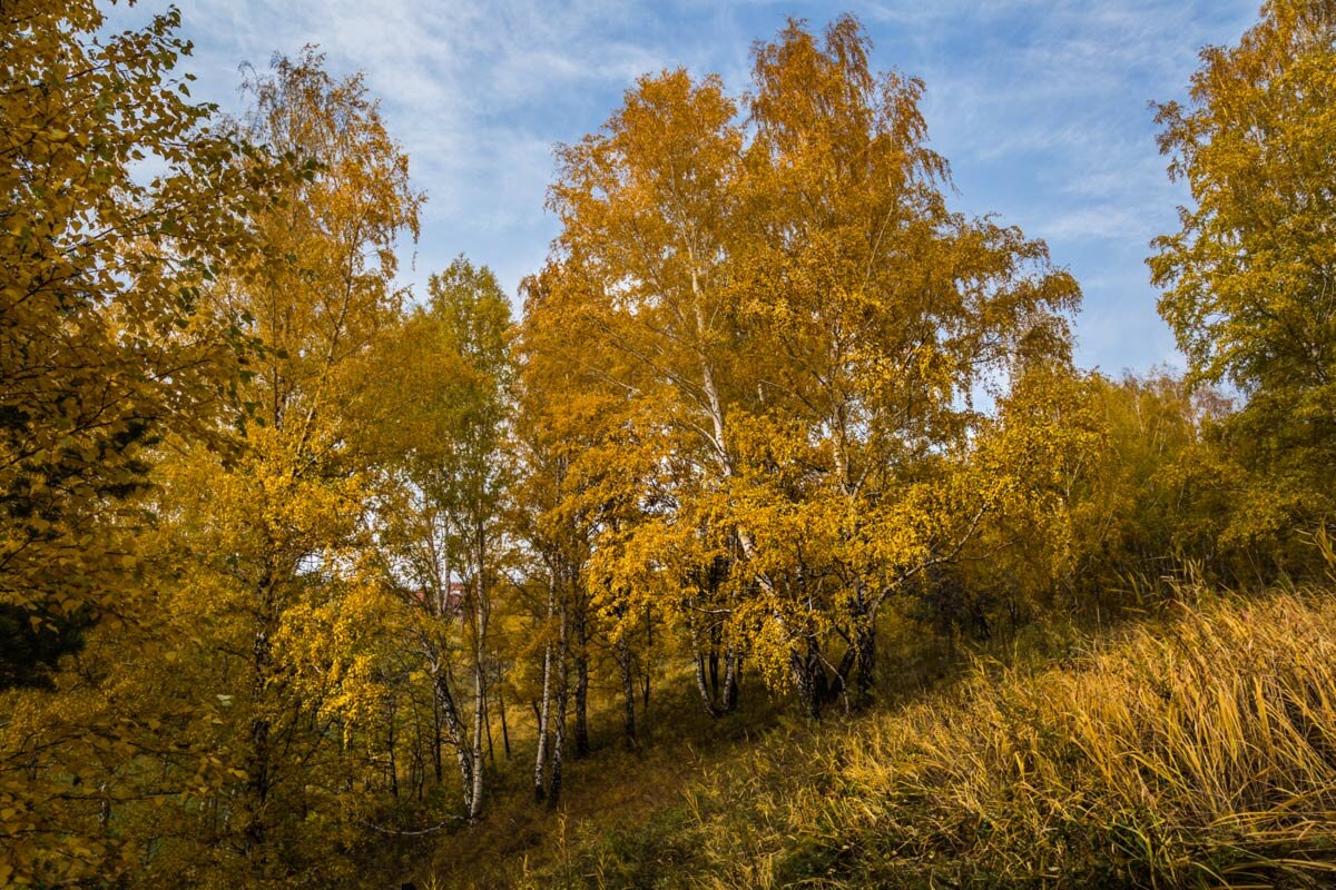 Пейзаж - SanSan 