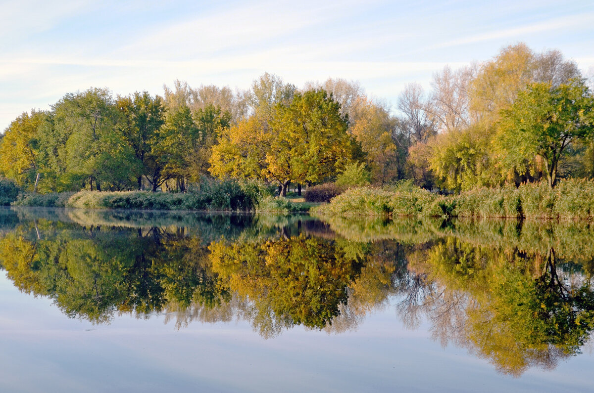 Отражение - Сергей М Отражение - Сергей М
