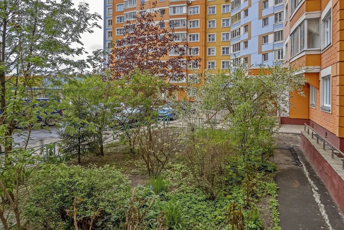 Зелень во дворе - Валерий Иванович Зелень во дворе - Валерий Иванович