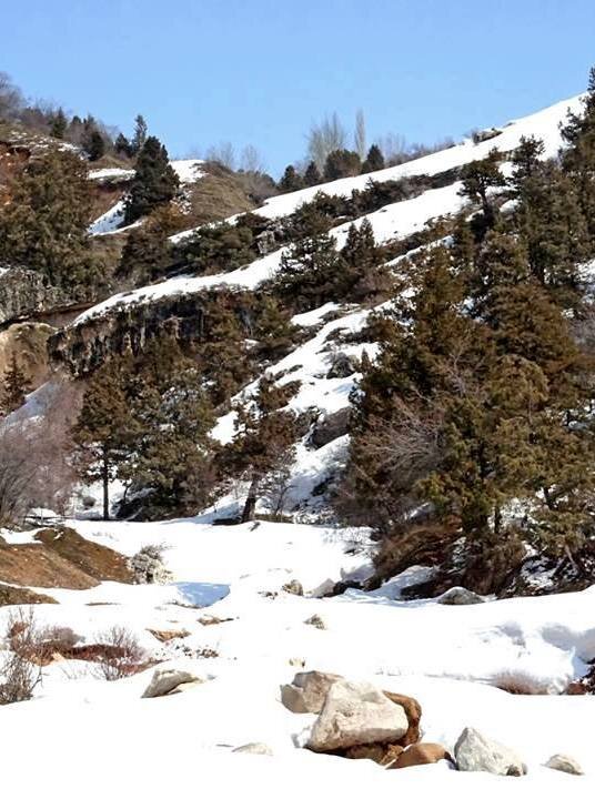 ВОСКРЕСНАЯ ПРОГУЛКА. - Виктор Осипчук ВОСКРЕСНАЯ ПРОГУЛКА. - Виктор Осипчук