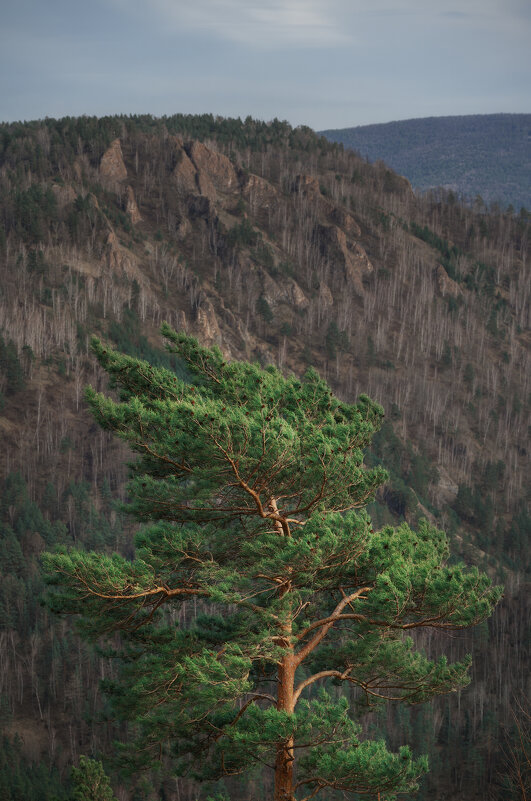 * - Александр Иванов