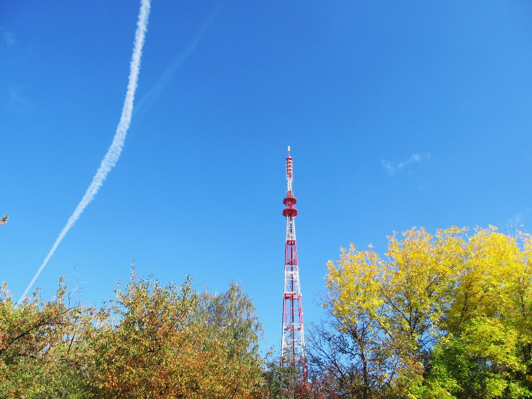 Зарисовка - Елена Шаламова