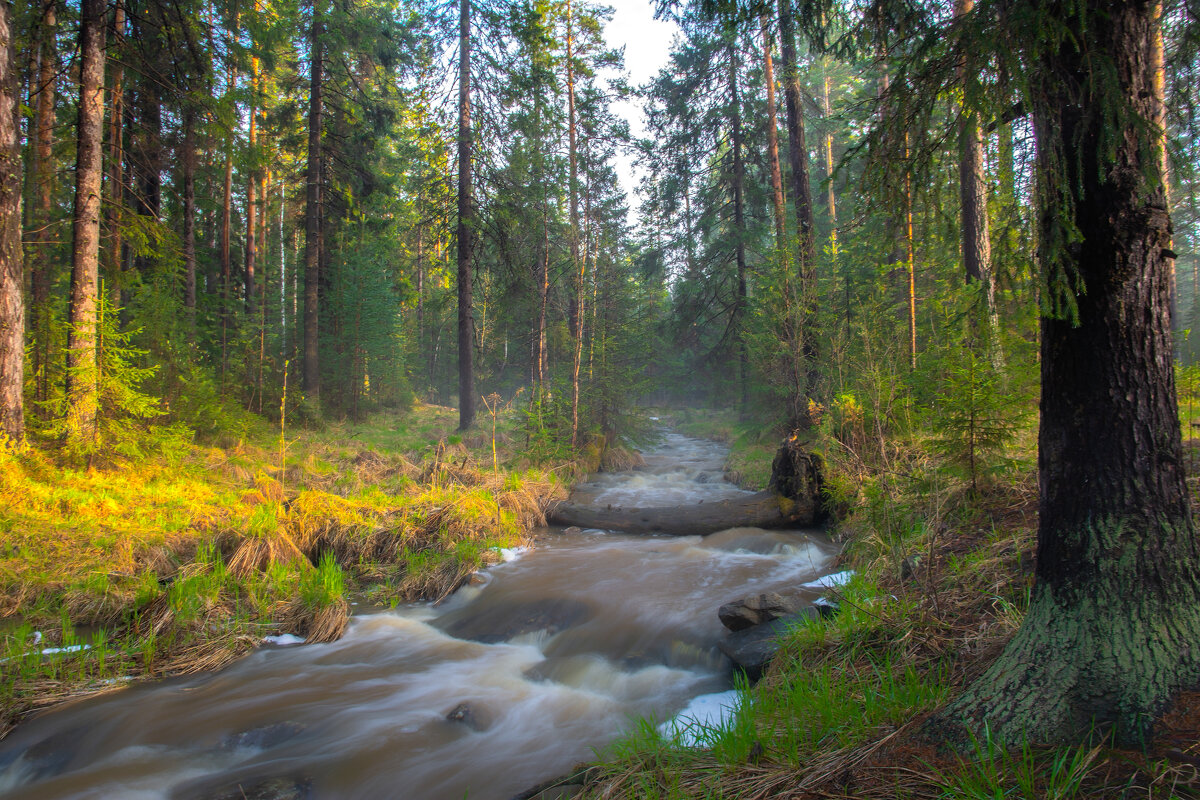 Весеннее половодье - Vladimbormotov 