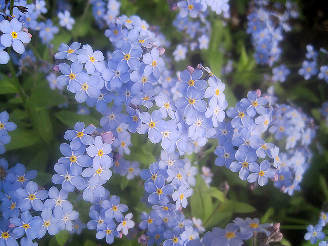 Весенний - Елена Семигина