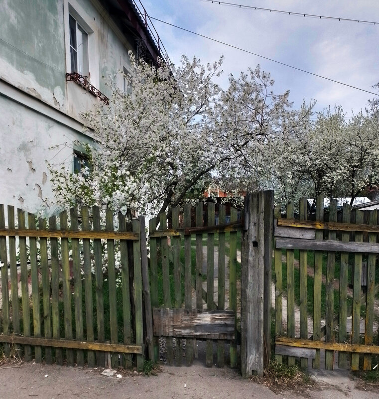 *** - Валентина Береснева