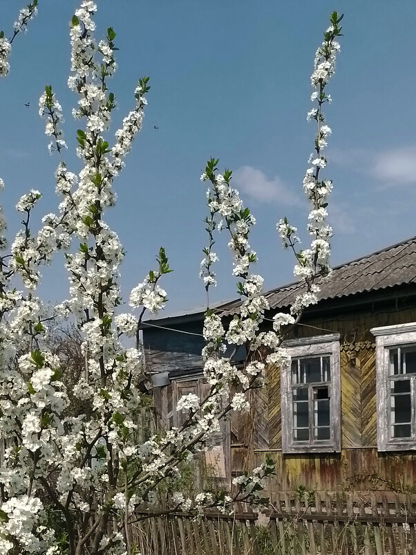 *** - Валентина Береснева