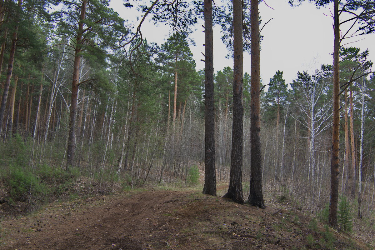 Равнение на строевой. Смирно! - Михаил Полыгалов