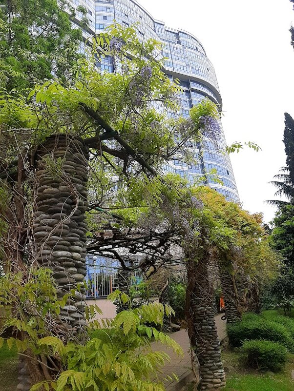 Городской пейзаж - Tata Wolf