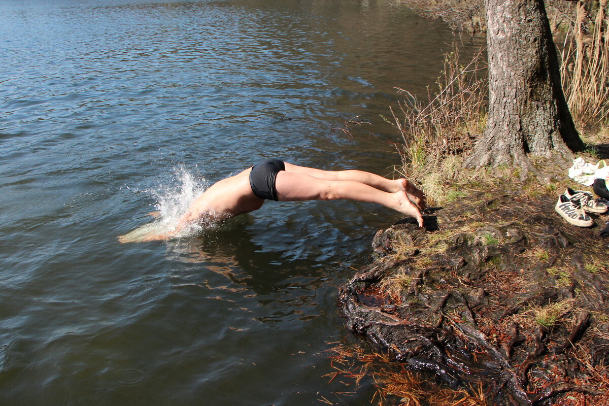 Лето - Тамара Вебер