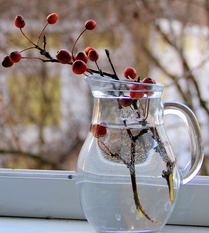 Натюрморт! - жанна нечаева