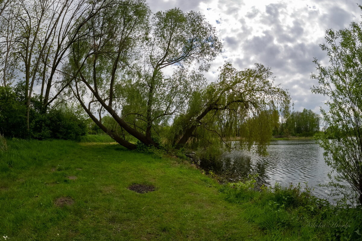 *** - Николай Гирш