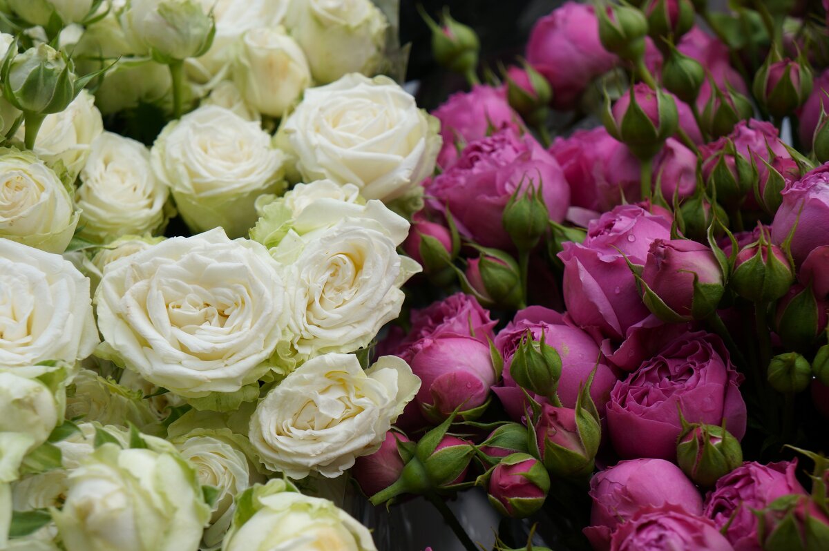 *** *** - Алёна Савина