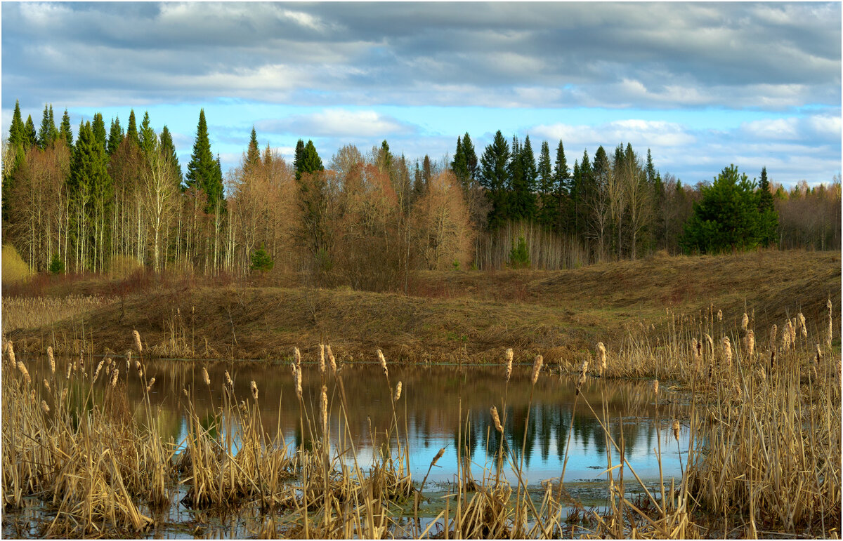Весенний этюд - Валентин Котляров