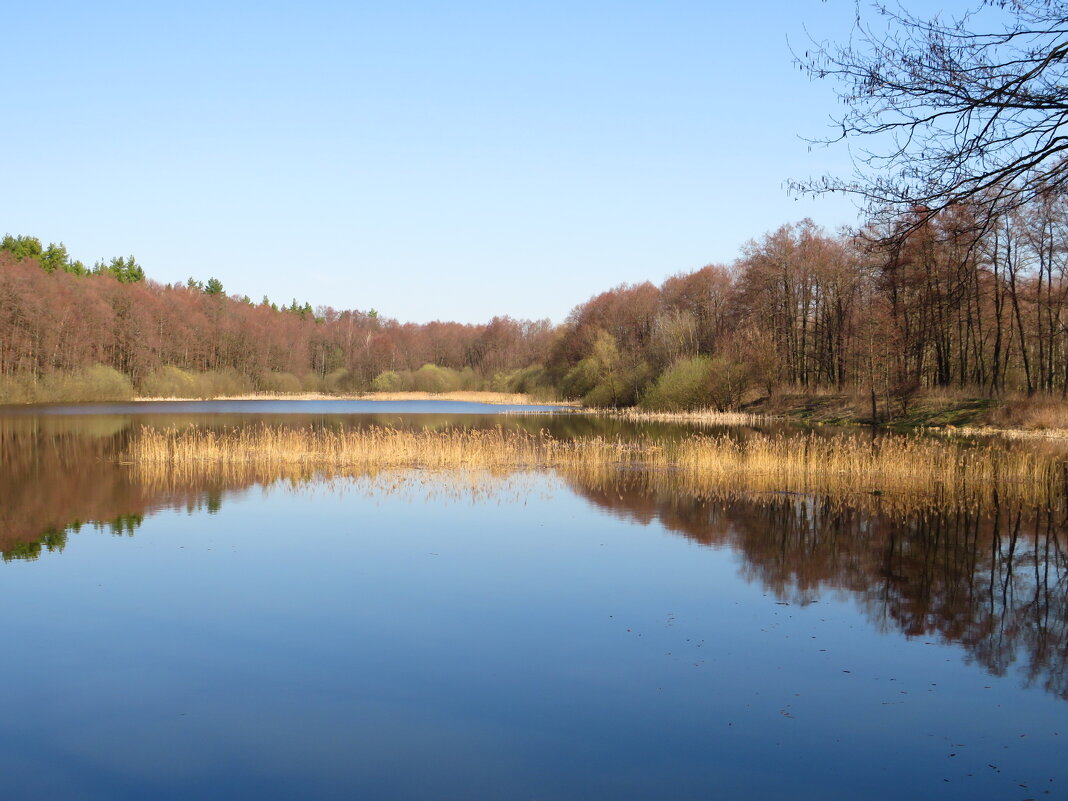 Островок сухой травы - Андрей Снегерёв