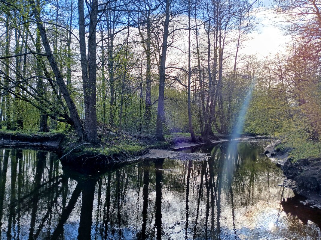 Луч солнца золотого.... - Лия ☼ Луч солнца золотого.... - Лия ☼