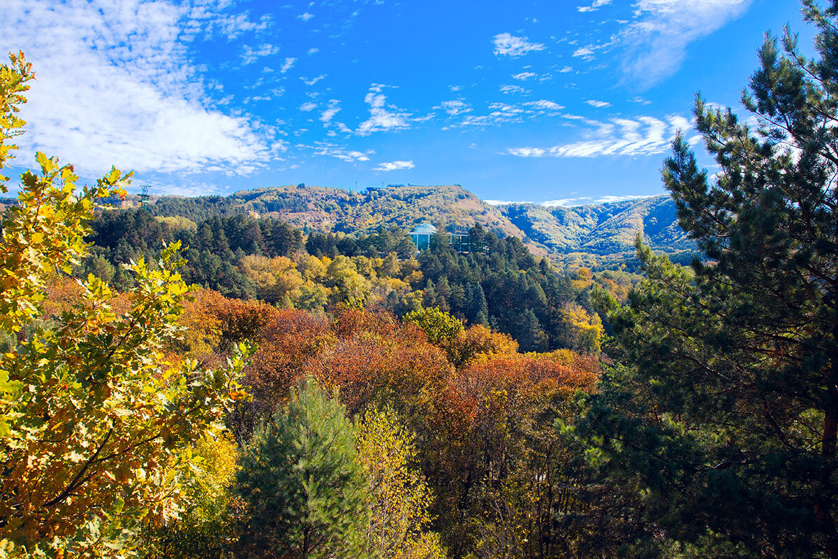 **** - Александр Смольников