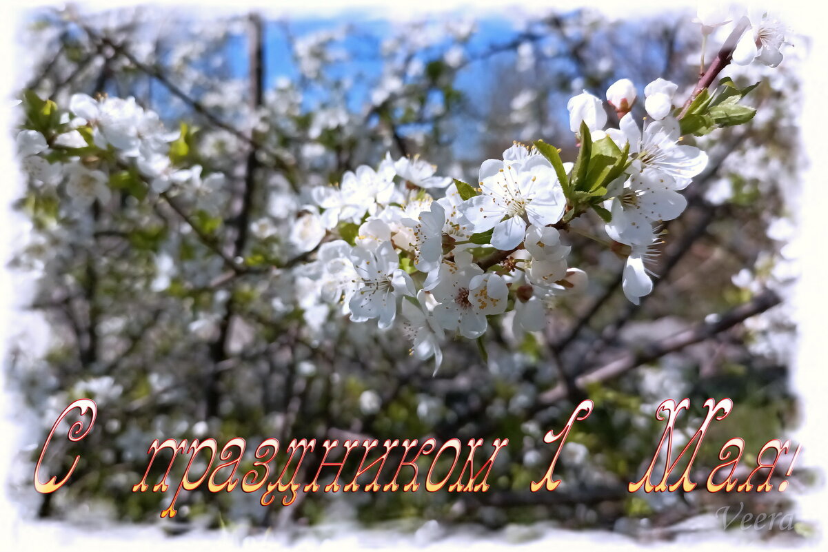 Первомайский салют - Veera V