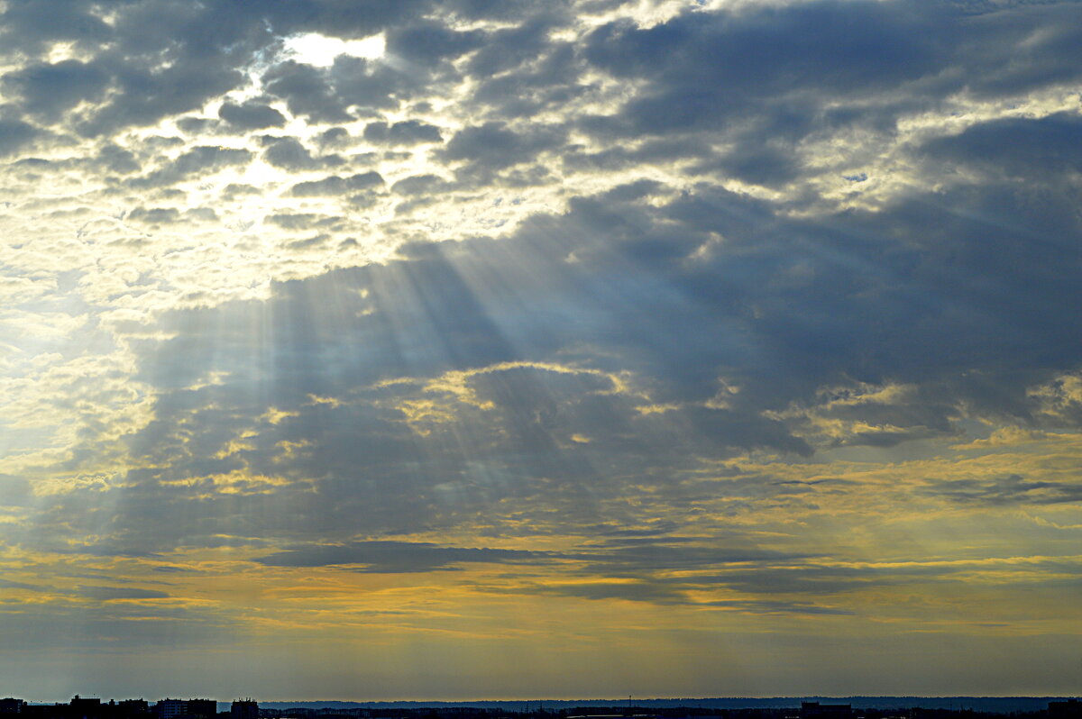 Пасмурное утро - Татьяна Лютаева Пасмурное утро - Татьяна Лютаева