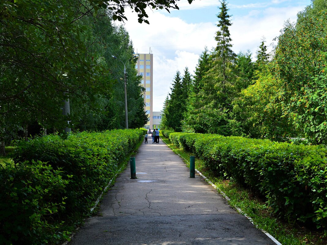 Чебоксары. Аллея сквера им. Анатолия Пуганина летом. - Пётр Чернега