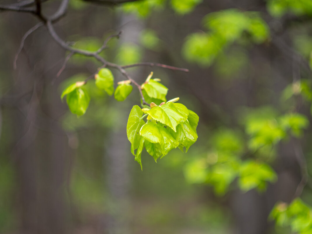 ___ - Yuriy V ___ - Yuriy V