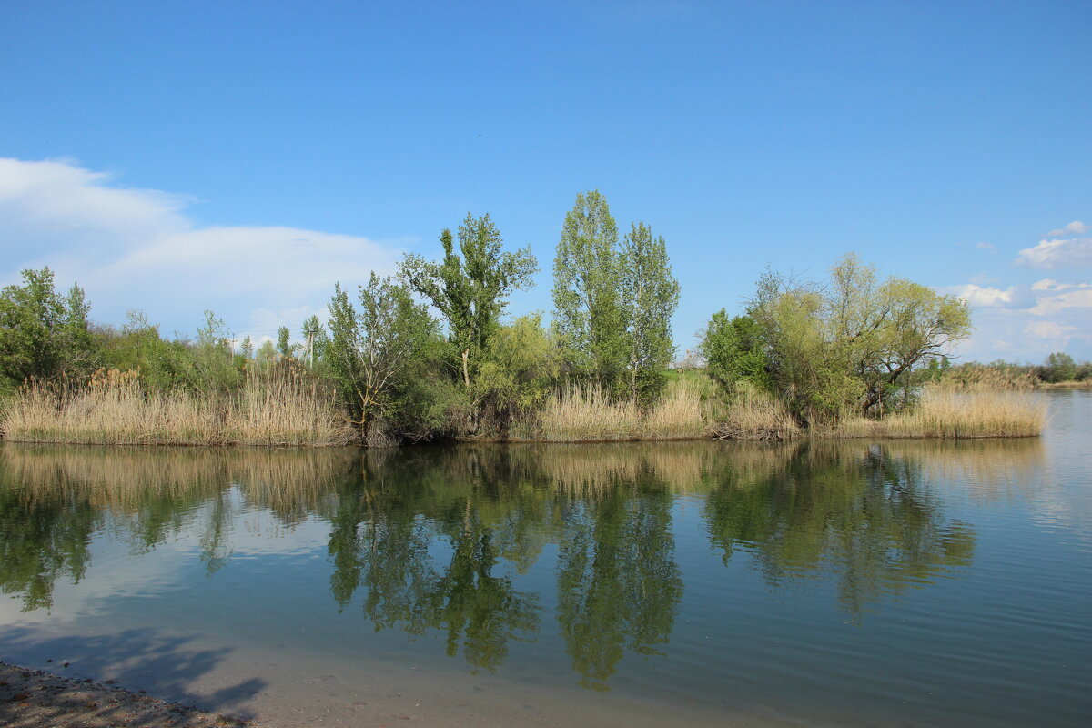 Тишина. - Виктор 