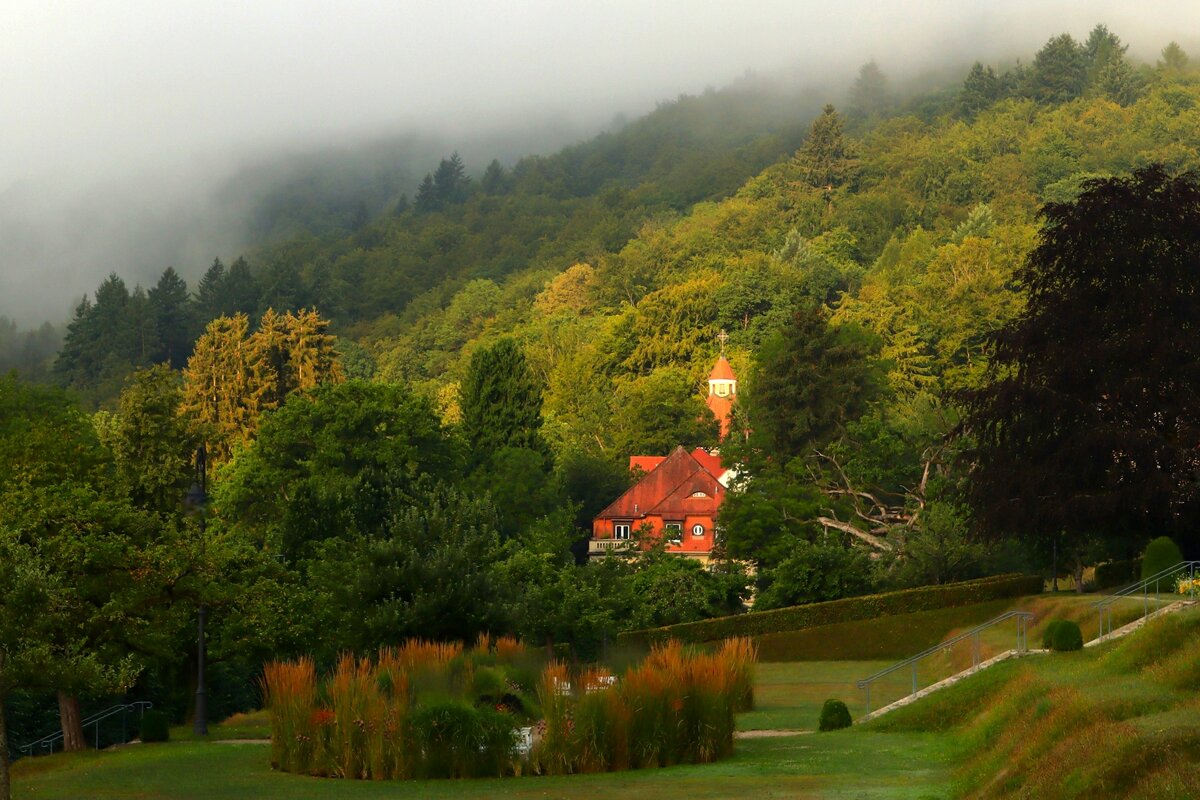 Утро - Юрий. Шмаков