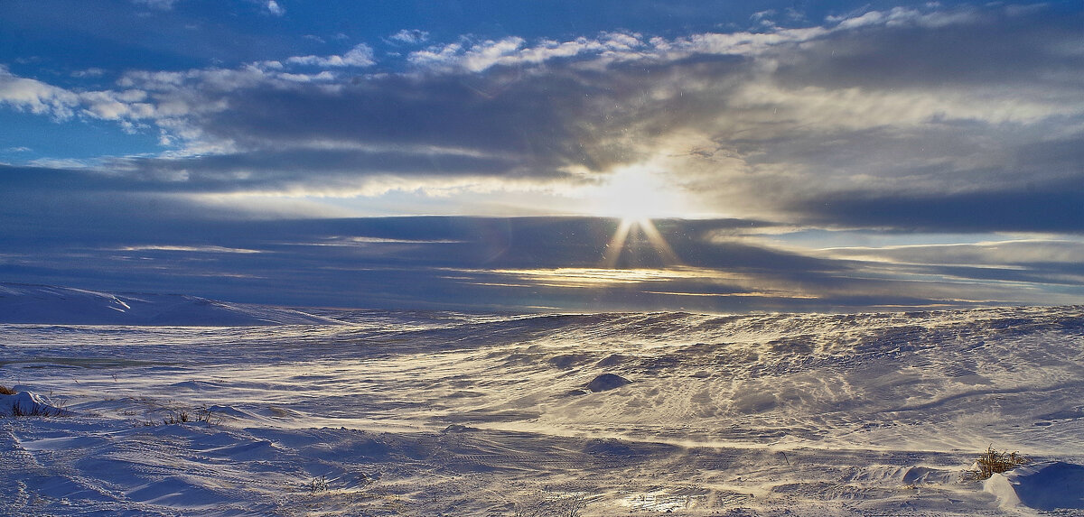 Тундра под Ямбургом - Игорь Шабалин