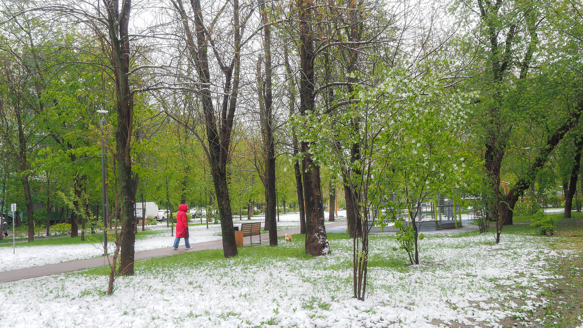 Май - юрий поляков