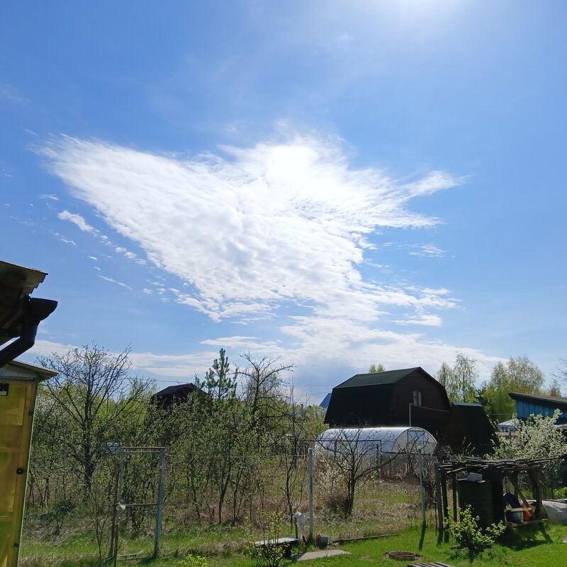 сюжет - Владимир 