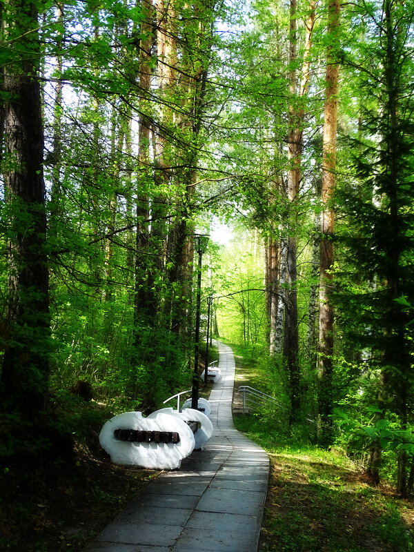 В парке - Павел Трунцев В парке - Павел Трунцев