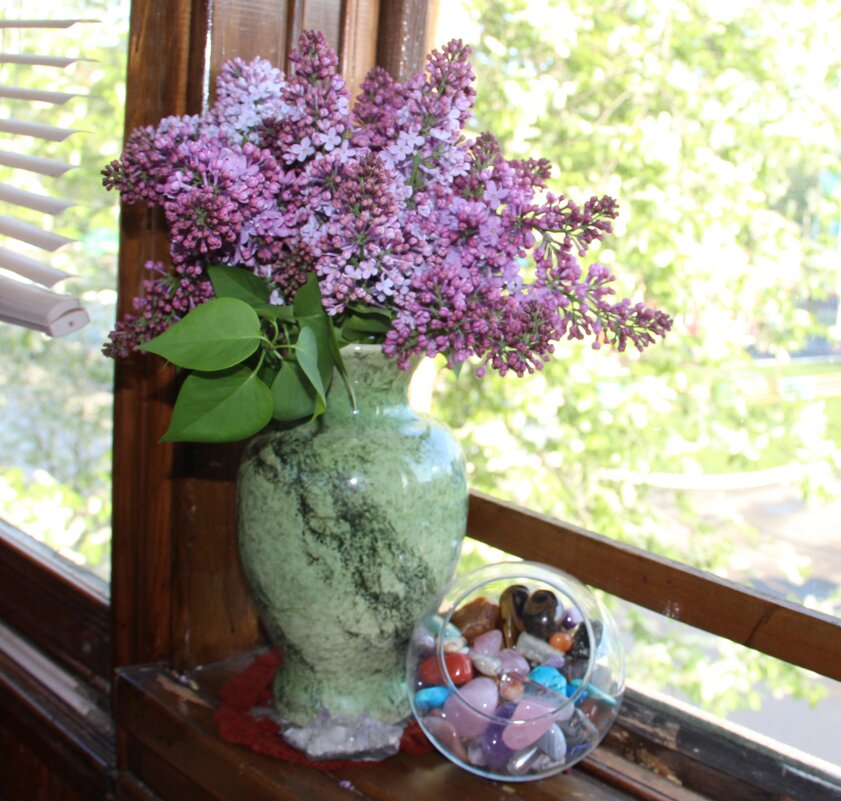 Май. - Венера Чуйкова Май. - Венера Чуйкова