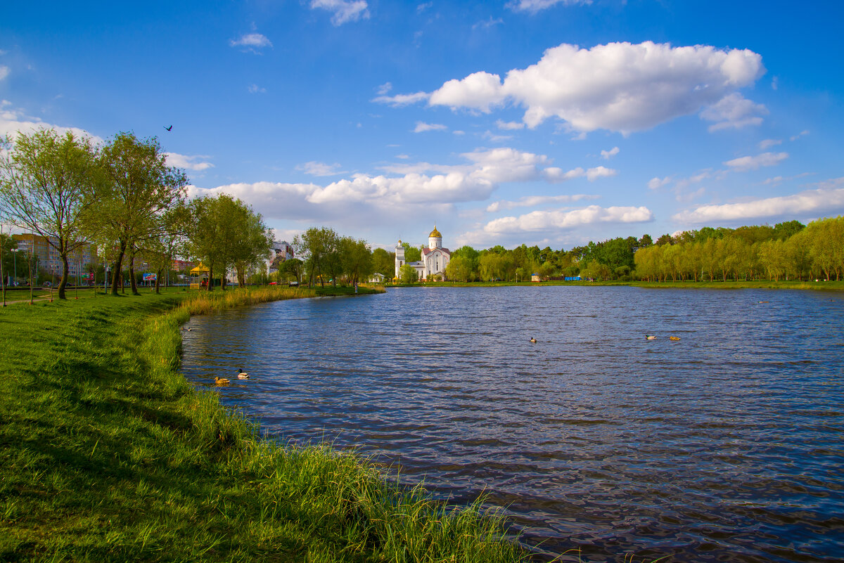 Парк в гомеле - Андрей Сосновский