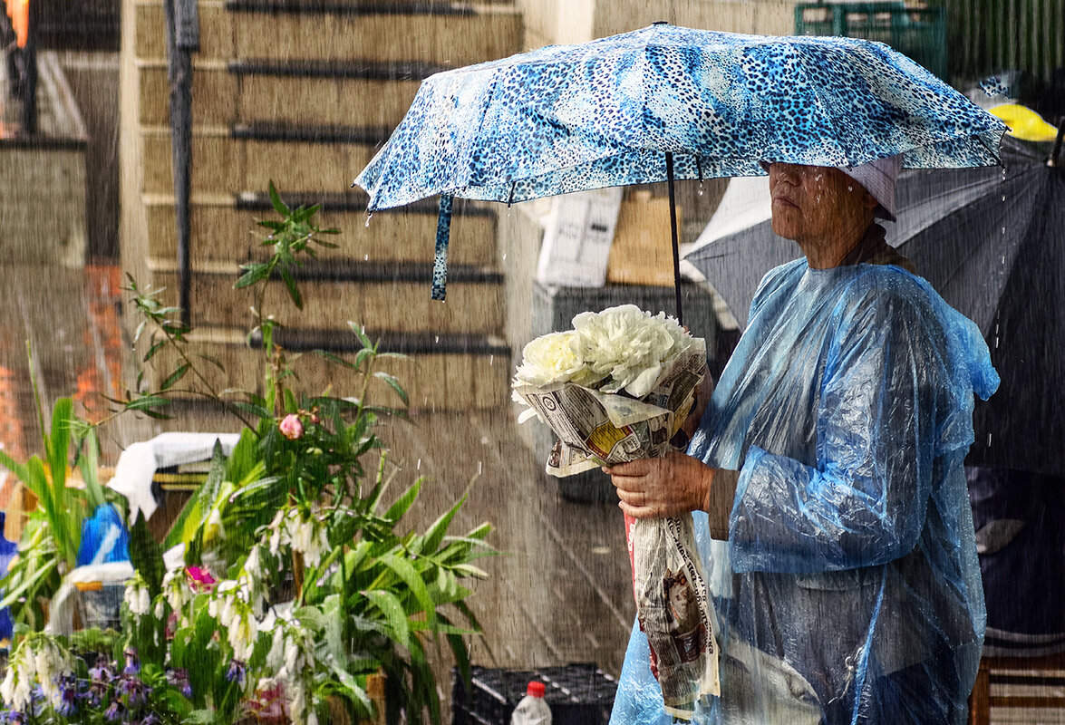 невозмутимый продавец.... - Владимир Матва невозмутимый продавец.... - Владимир Матва