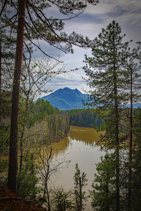 Река Лебедь. На заднем плане г. Салоп. Республика Алтай. - Георгий Река Лебедь. На заднем плане г. Салоп. Республика Алтай. - Георгий