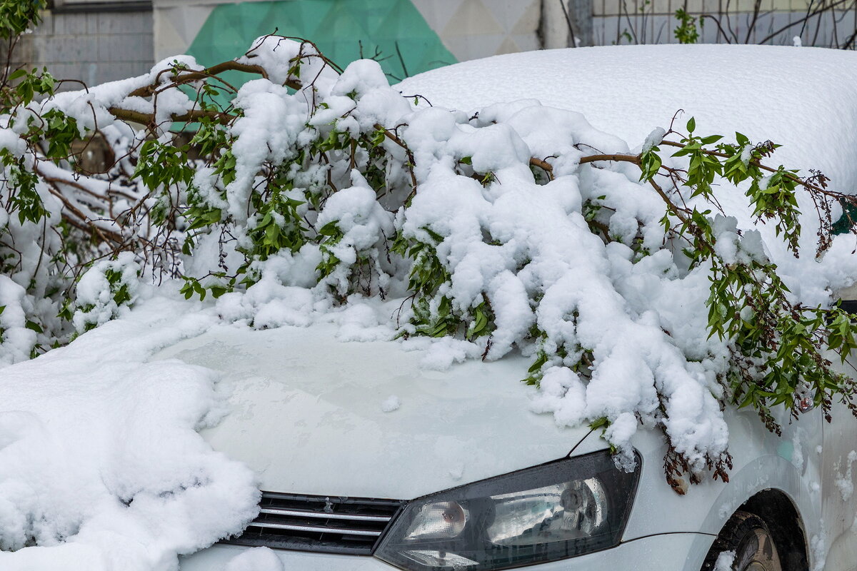 2 мая. - Анатолий. Chesnavik.