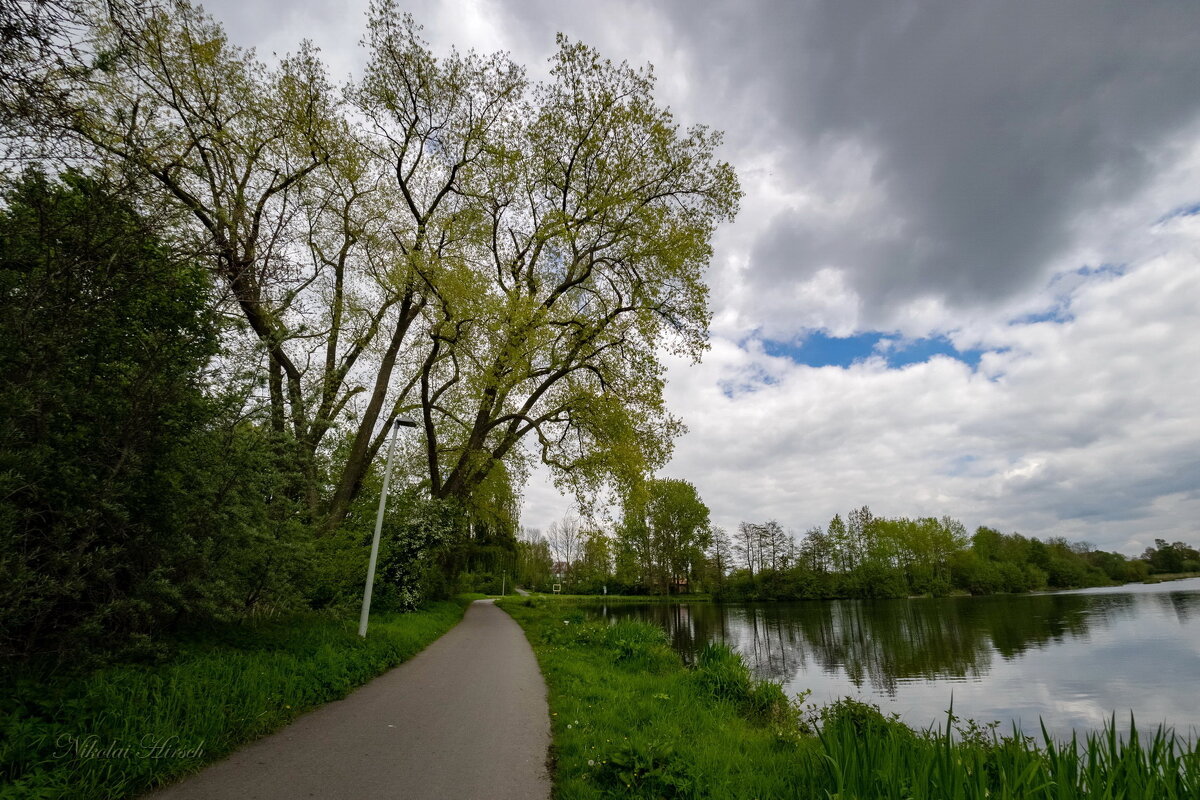 *** - Николай Гирш