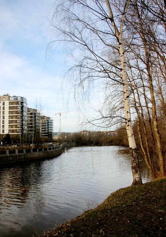 р. Охта - Наталья Герасимова р. Охта - Наталья Герасимова