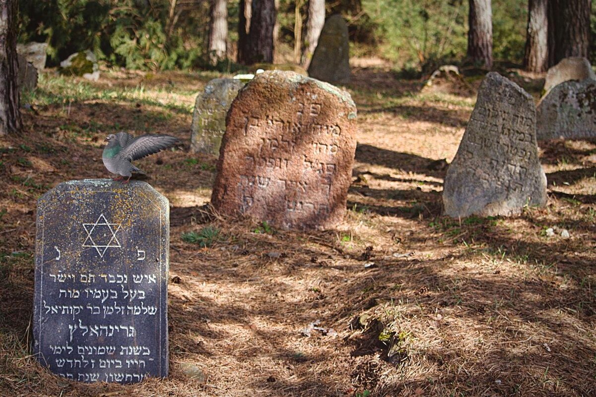 Еврейское кладбище, основанное в 1648 году - Глeб ПЛATOB