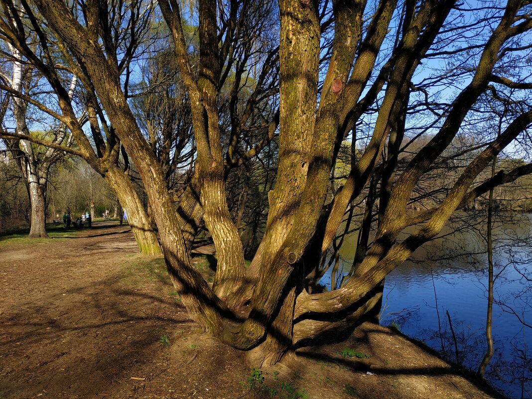 Из недопоказанного - Андрей Лукьянов Из недопоказанного - Андрей Лукьянов