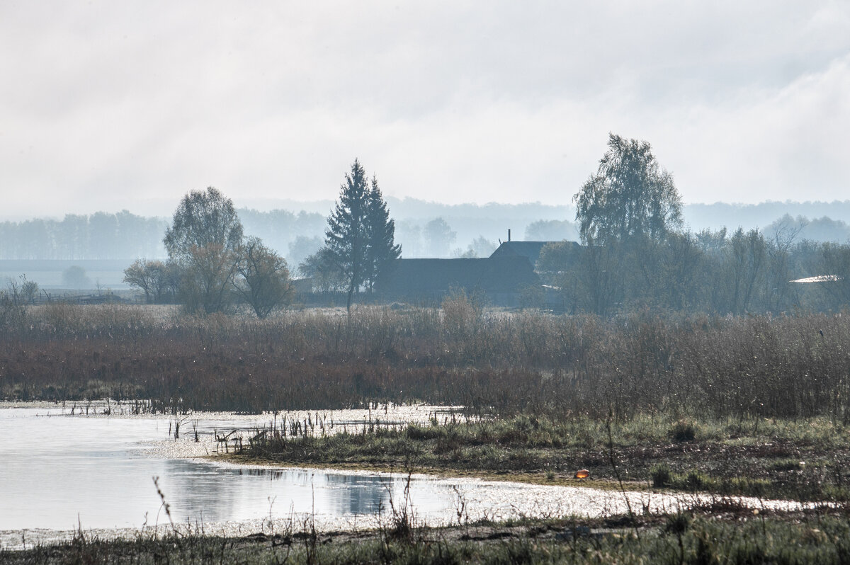 ... - Владимир Новиков