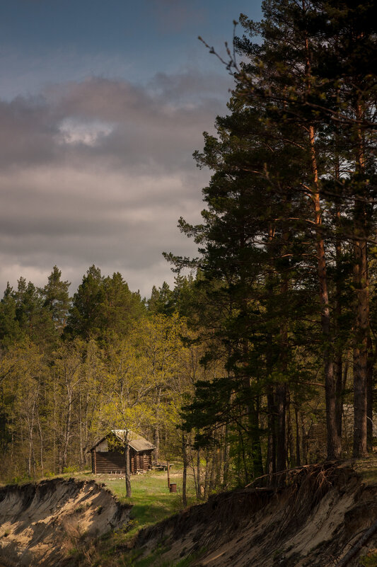 ... - Владимир Новиков