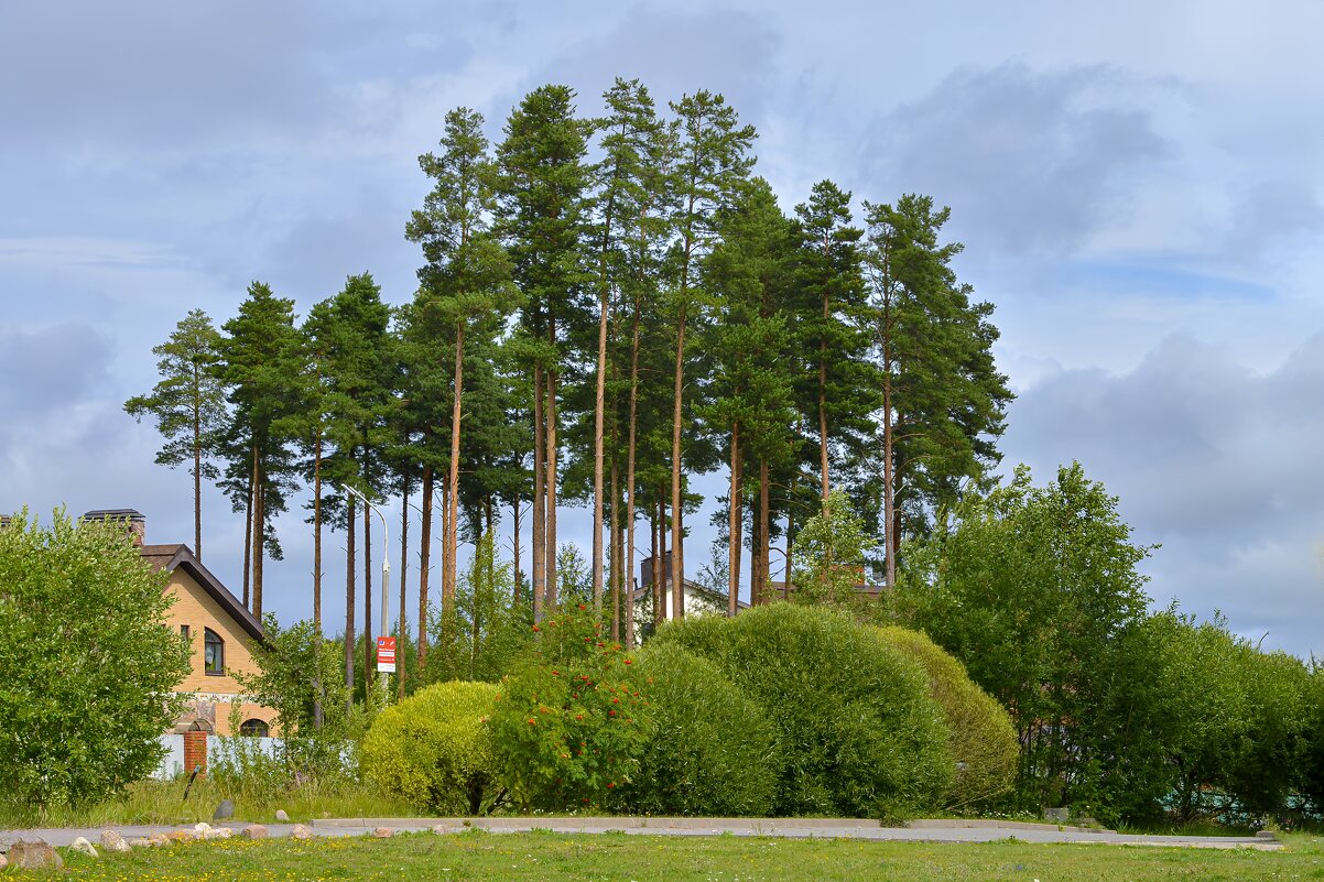 Островок - Валерий Пославский Островок - Валерий Пославский