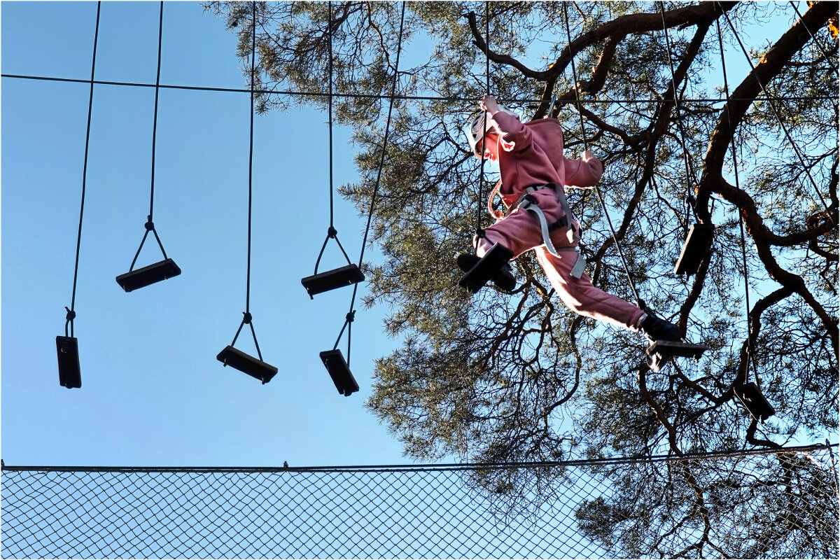 К победе! - Анатолий ИМХО К победе! - Анатолий ИМХО