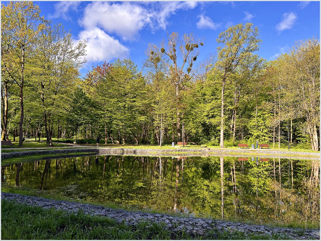 Парковое озеро. - Валерия Комова Парковое озеро. - Валерия Комова