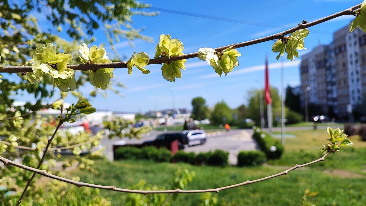 ,,, - Сергей Тимоновский