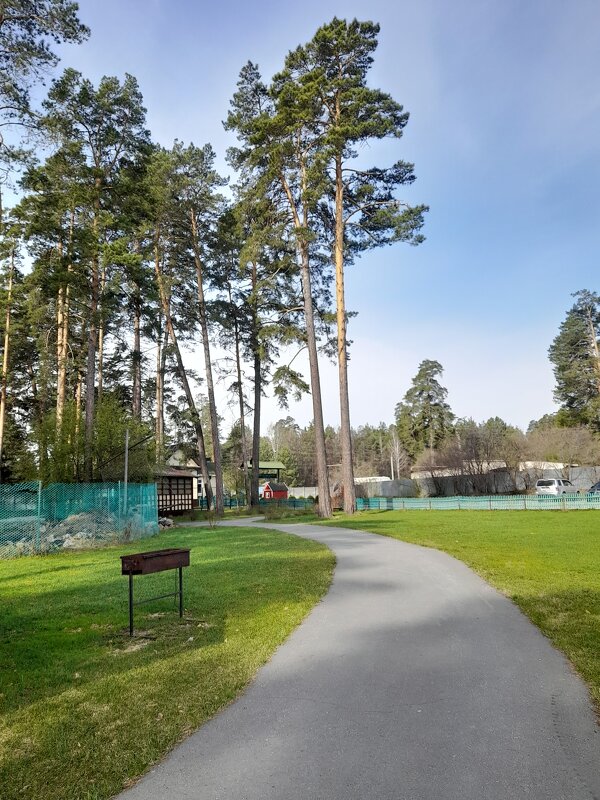 Весенний пейзаж . - Мила Бовкун