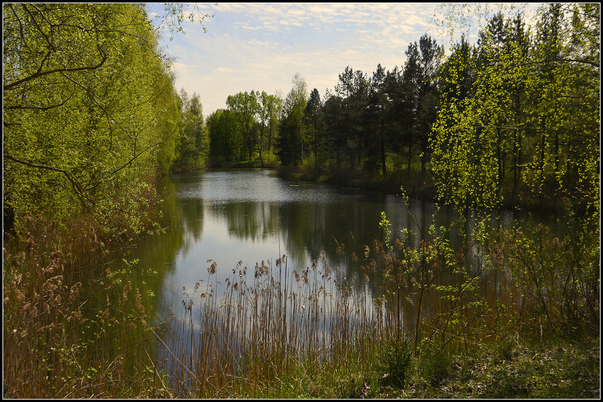 Озеро весной - Aleksandr Gal Озеро весной - Aleksandr Gal