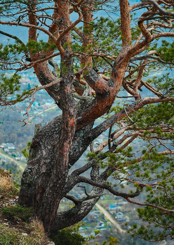 ... - Игорь Хижняк ... - Игорь Хижняк