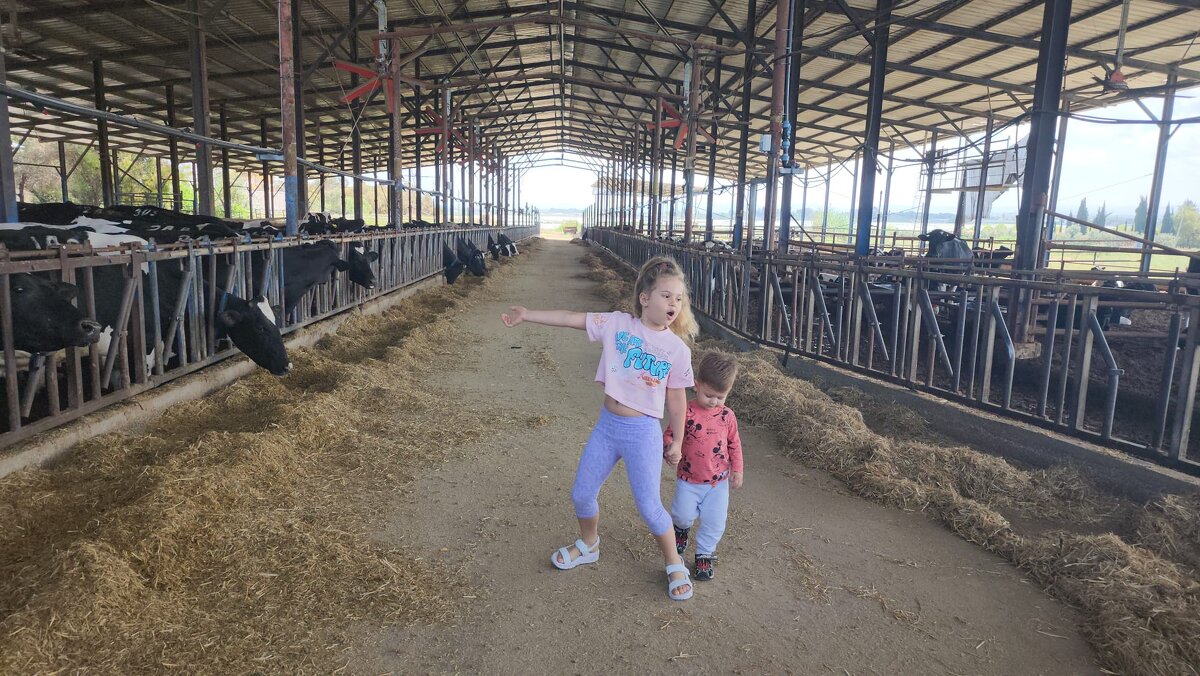 Том первый раз на ферме - Светлана Хращевская Том первый раз на ферме - Светлана Хращевская