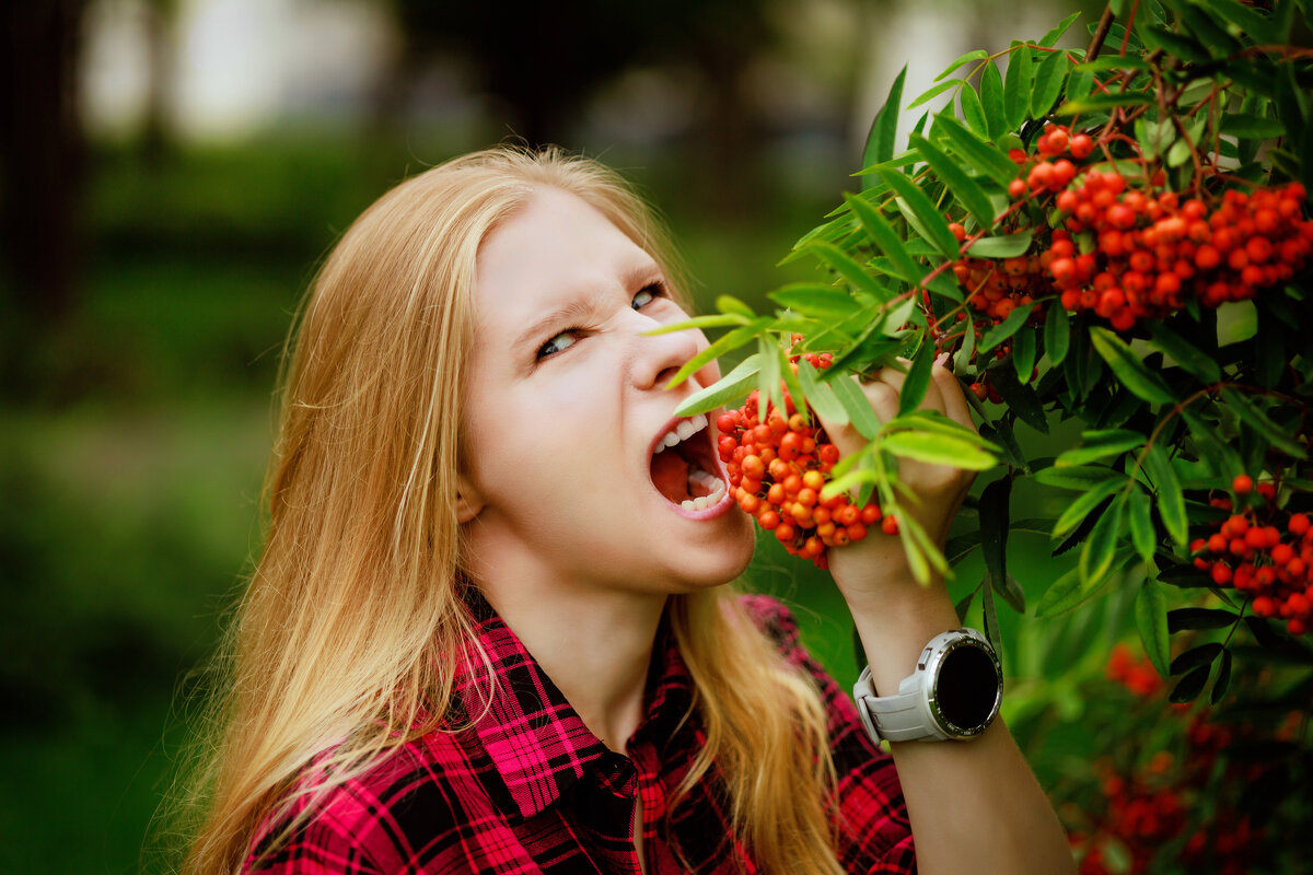 Перекус - Валерий Серёгин